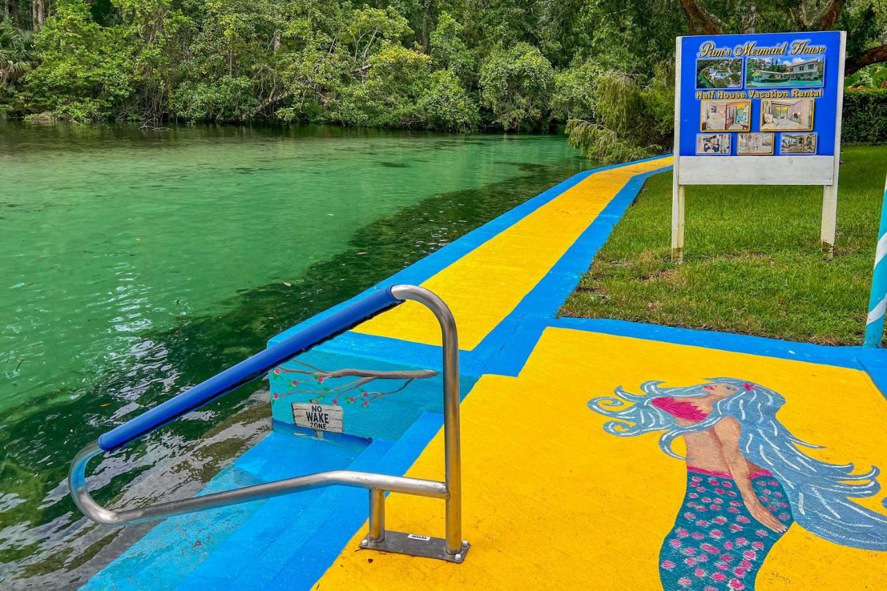 Pams Mermaid House With Riverfront Yard And Lanai! Apartment Weeki Wachee Luaran gambar