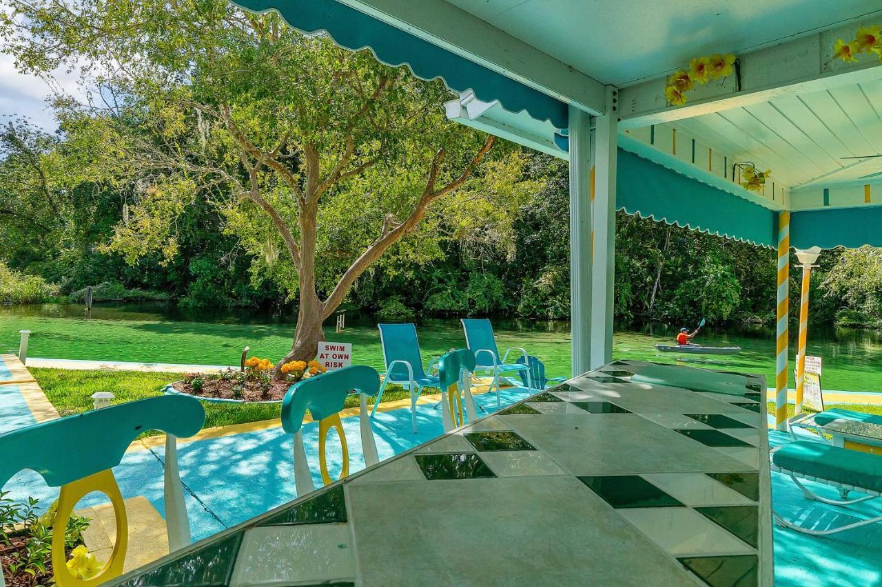 Pams Mermaid House With Riverfront Yard And Lanai! Apartment Weeki Wachee Luaran gambar
